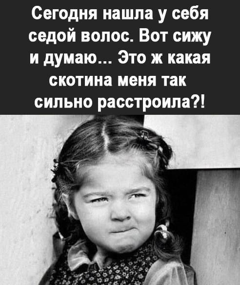 Сегодня нашла у себя седой волос Вот сижу и думаю Это ж какая скотина меня так сильно расстроила