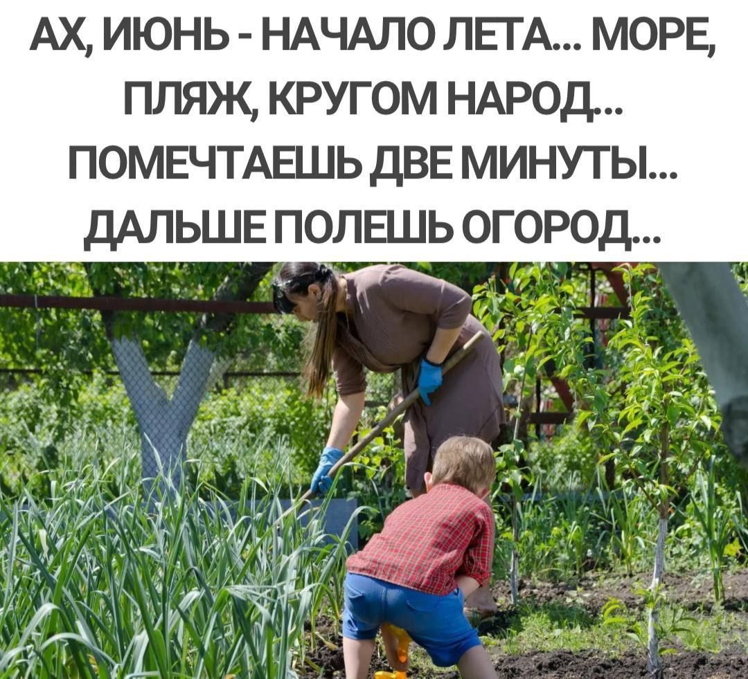 АХ ИЮНЬ НАЧАЛО ЛЕТА МОРЕ ПЛЯЖ КРУГОМ НАРОД ПОМЕЧТАЕЛЬ ДВЕ МИНУТЫ ДАЛЬШЕ ПОЛЕЦЬ ОГОРОД
