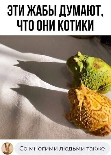 ЭТИ ЖАБЫ ДУМАЮЪ ЧТО ПНИ КПТИКИ в СО МНОГИМИ ЛЮДЬМИ ТЗКЖЭ