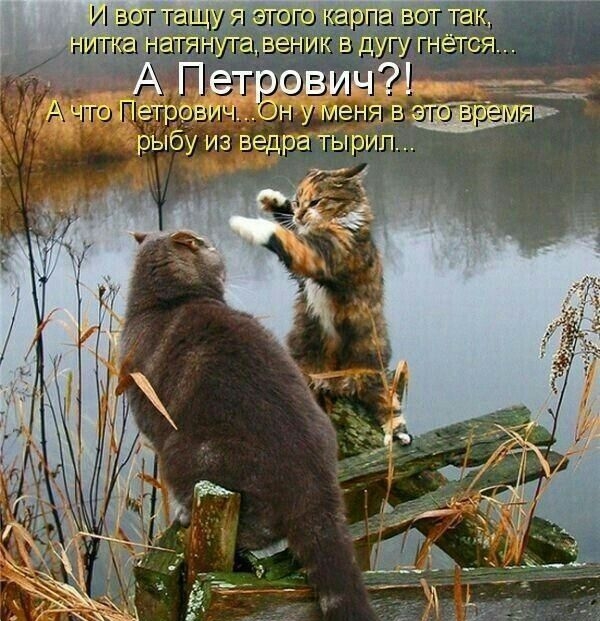 уменя в 5 рыбу из ведра тыри