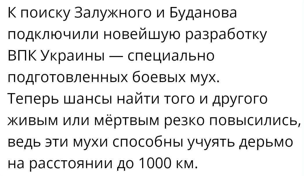 К поиску Залужного и Буданова подключили новейшую разработку ВПК Украины специально подготовленных боевых мух Теперь шансы найти того и другого живым или мёртвым резко повысились ведь эти мухи способны учуять дерьмо на расстоянии до 1000 км