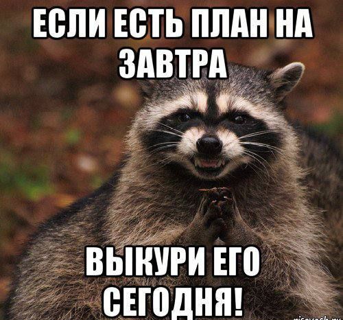 ЕСЛИ ЕСТЬ ПЛАН НА ЗАВТРА ю ЖК 1 35 выниги но сегодня
