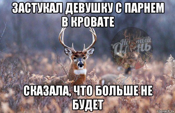 відЗиля чтодопь ни 5 виды