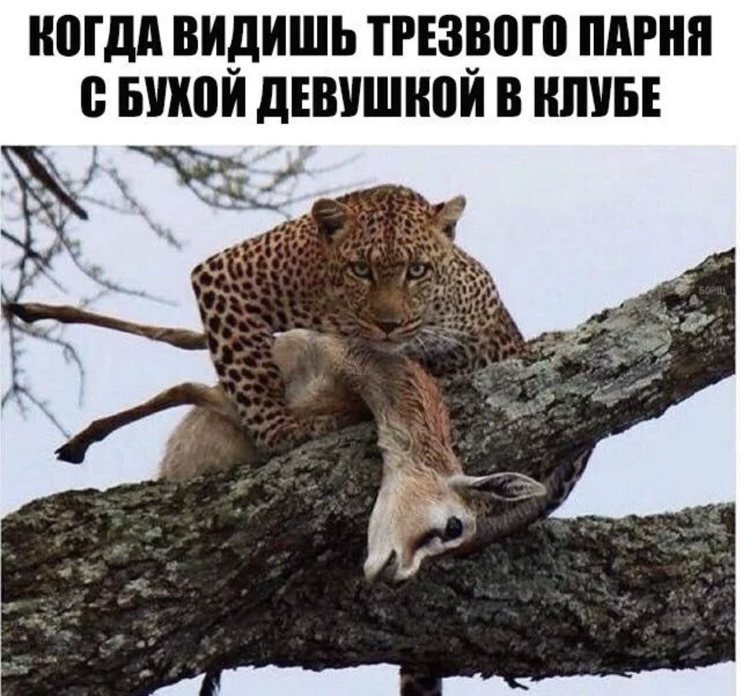 Юідд ВИдИШЬ ТРЕЗВВШ ПАРНЯ БПШЙ дЕВУШіЮЙ В КЛУБЕ