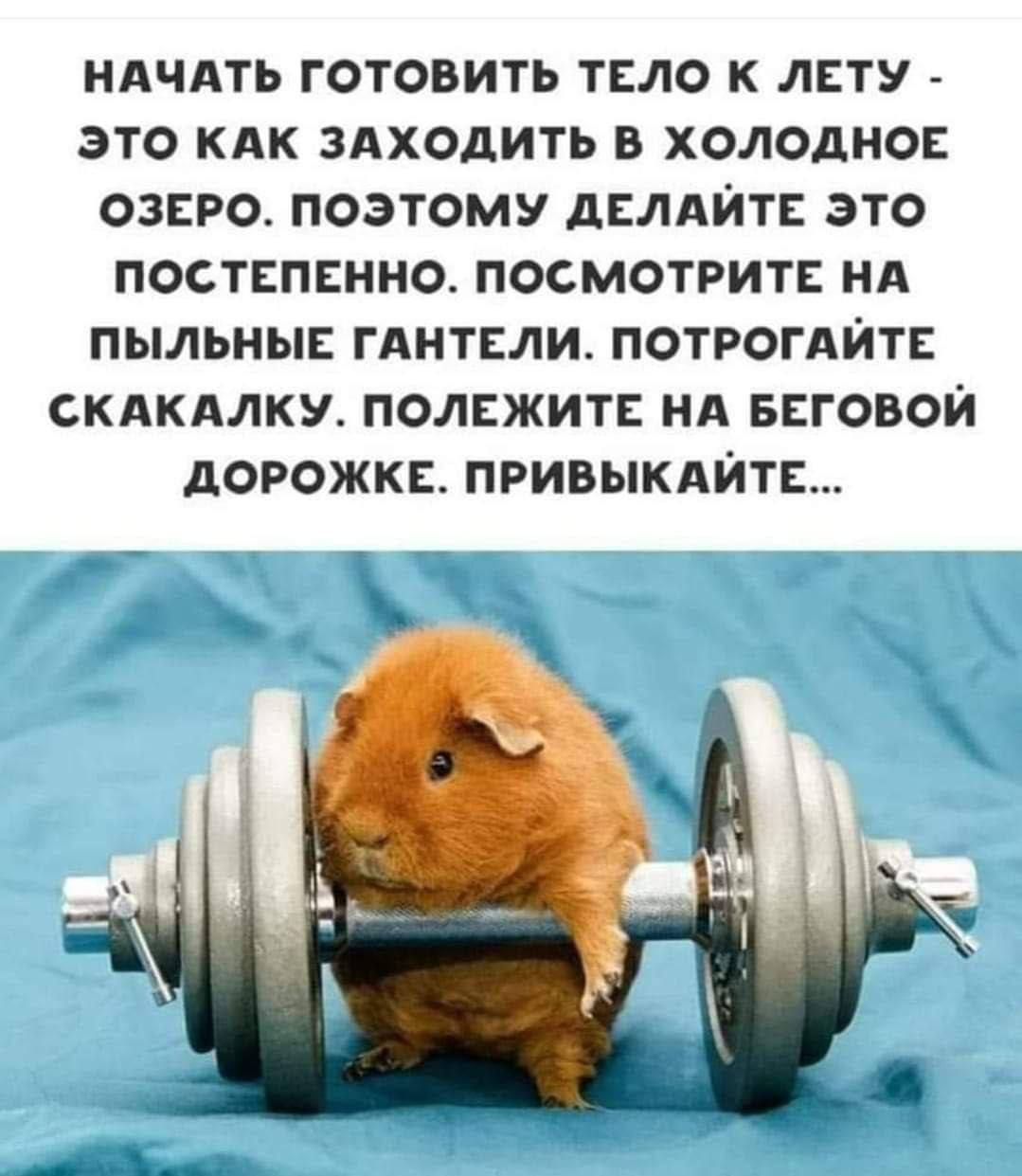 ндчдть готовить твло к лсту _ это кдк здходить в холодно озеро поэтому дынйтв это постспвнно посмотрит нА пыльны гдитыи потрогдИт скпкдлку полсжит ня виговои дорожкв привыкдиты