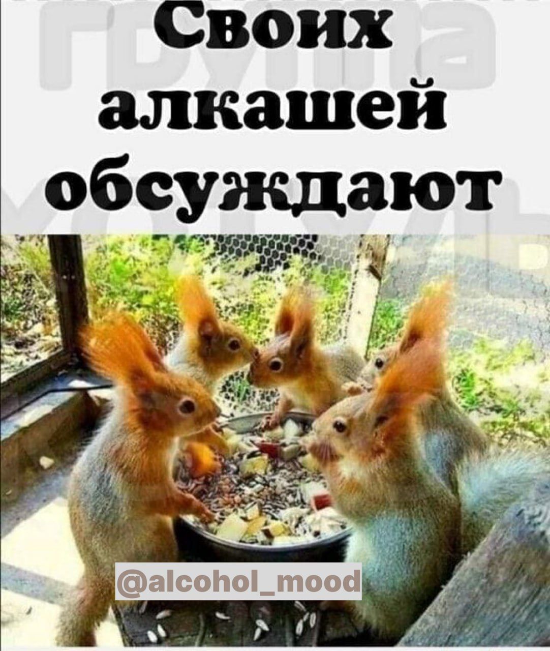 Своих алкашей обсуждают у а Ё_