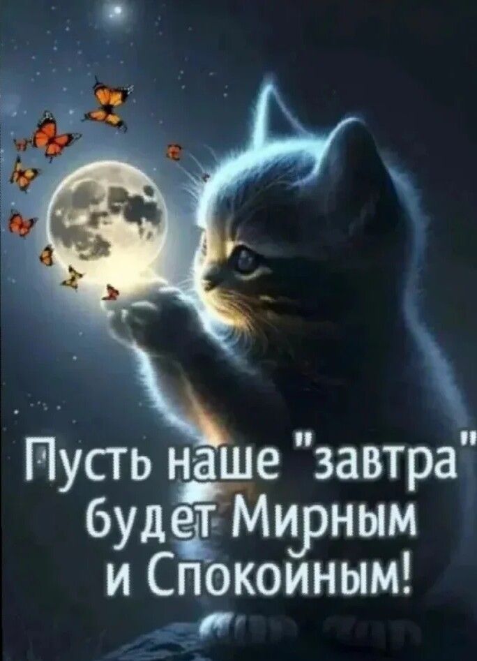 ПУсгь ъдадю завтра будат Миуным и Спокоиным таг