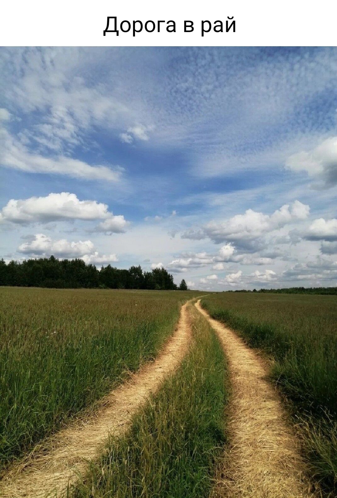 рай _ Рога в До