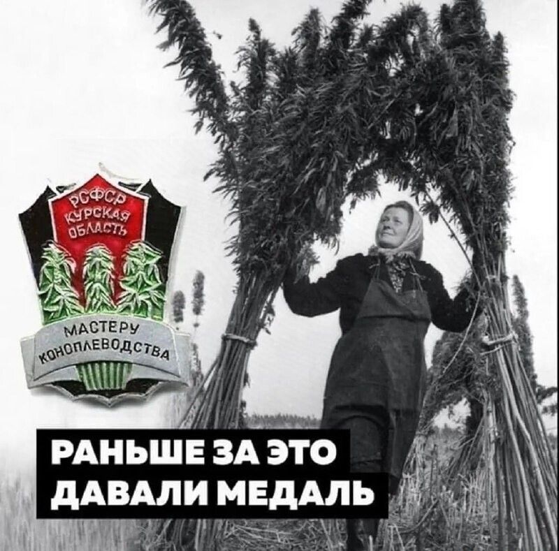 мдствру пинцет