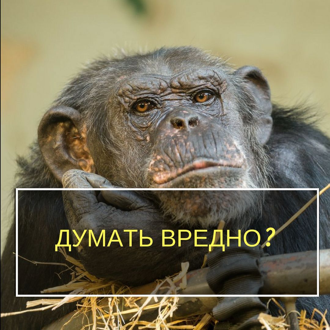 ДУМАТЬ ВРЕДНО
