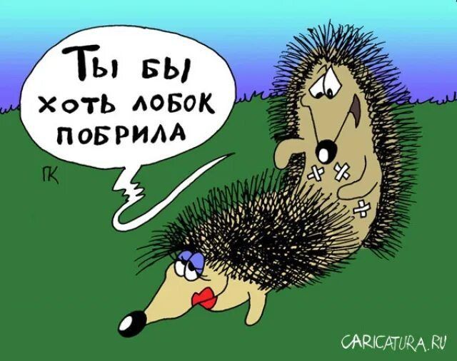 Ты вы Хоть АОБОК поврим жим кл