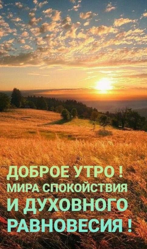 доврвё 39 МИРА спокойствия И духовного РАВНОВЕСИЯ
