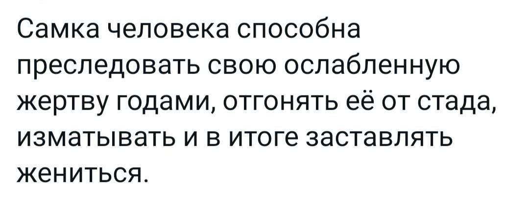 Самка человека способна преследовать свою оспабпенную жертву годами отгонять её от стада ИЗМЭТЫВЭТЬ И В итоге ЗаСТЭБПЯТЬ жениться
