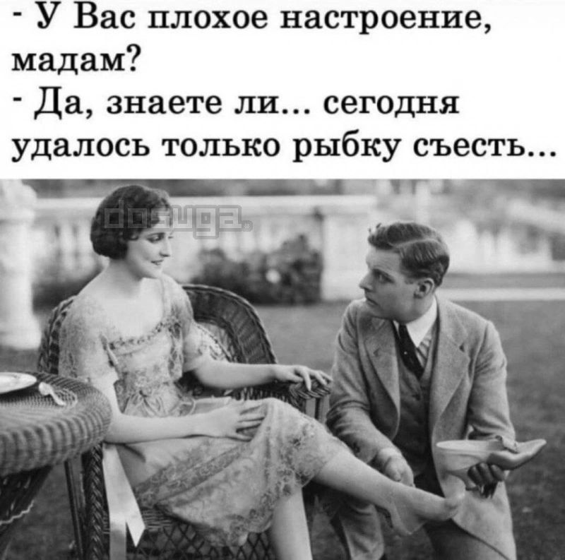 У Вас плохое настроение мадам Да знаете ли сегодня удалось только рыбку съесть