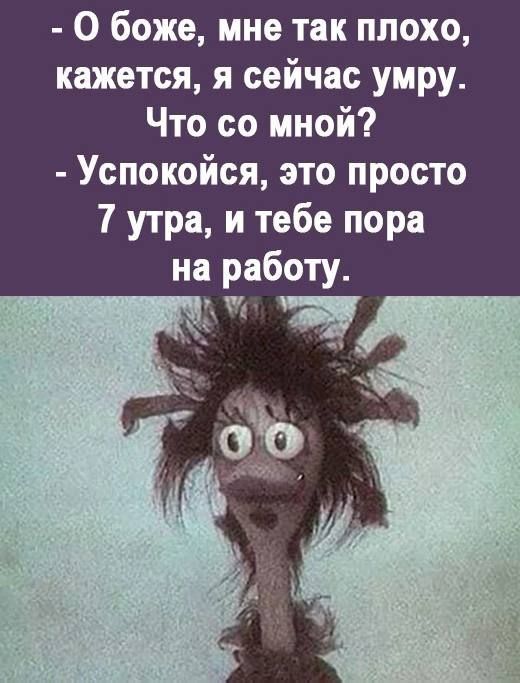 О боже мне так плохо кажется я сейчас умру Что со мной Успокойся это просто 7 утра и тебе пора на работу