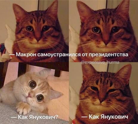 ОО Янукович
