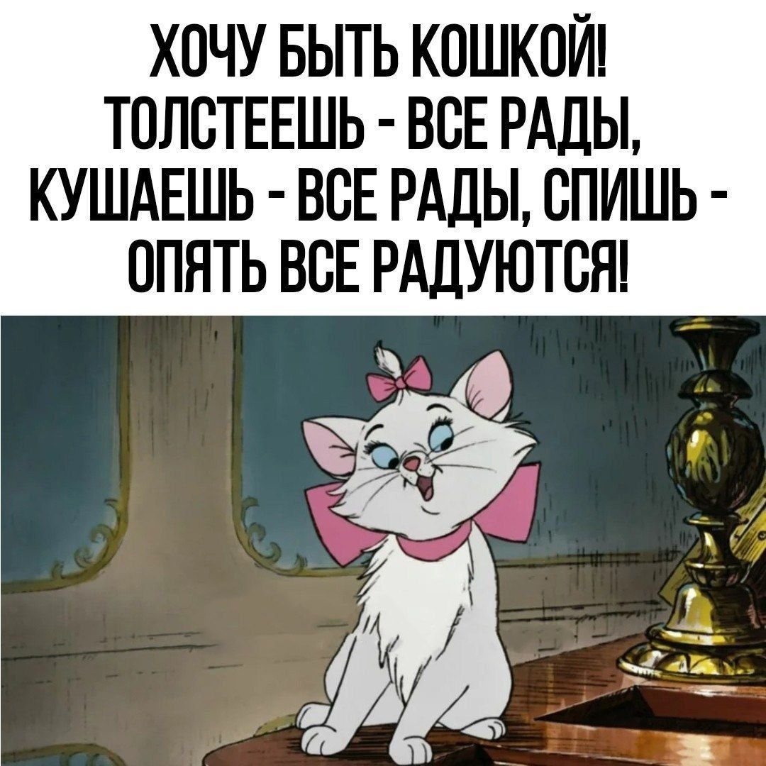 ХОЧУ БЫТЬ КОШКОИ ТПЛСТЕЕШЬ ВСЕ РАДЫ КУШАЕШЬ ВСЕ РАДЫ БПИШЬ ОПЯТЬ ВСЕ РАЛУЮТСН