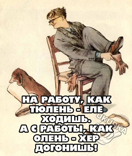 дОГОНИШЪ