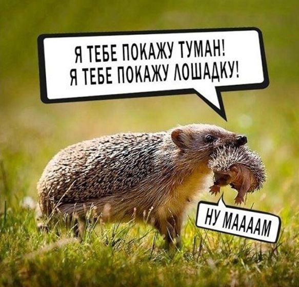 Я ТЕБЕ ПОКАЖУ ТУМАН Я ТЕБЕ ПОКАЖУ АОШАДКУ