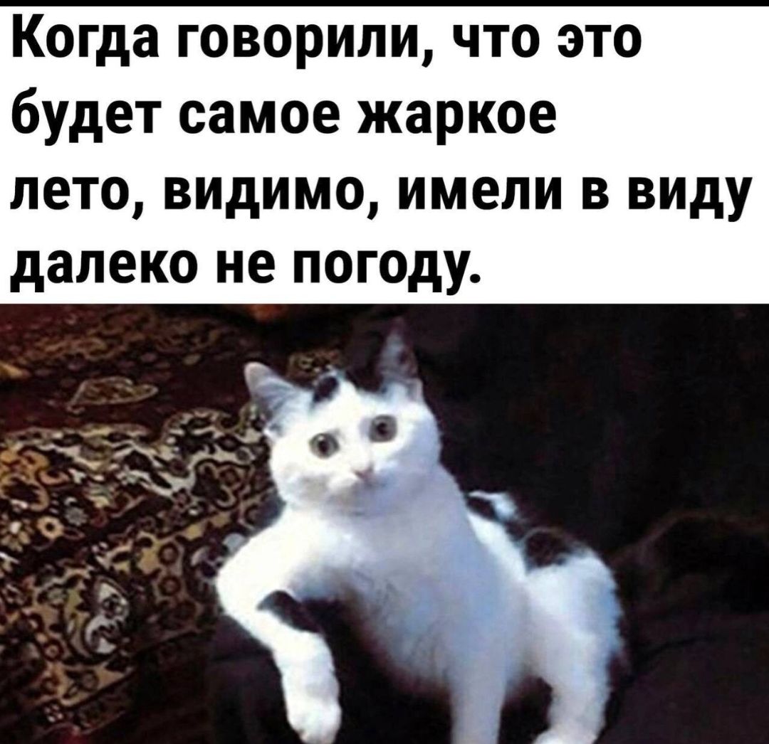 Когда говорили что это будет самое жаркое лето видимо имели в виду далеко не погоду