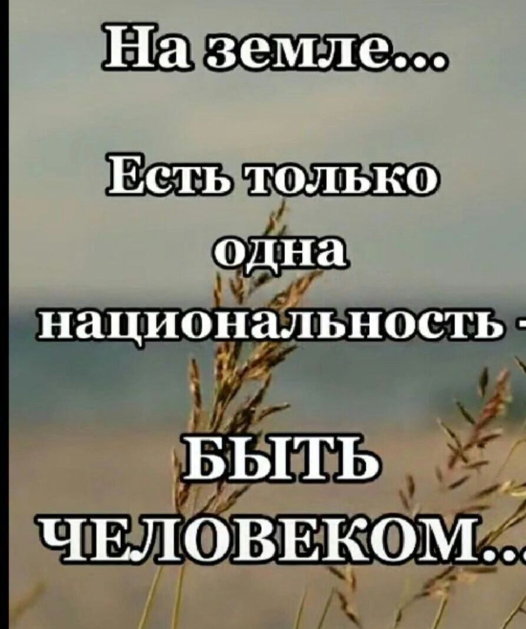 только