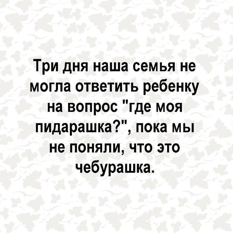 Три дня наша семья не могла ответить ребенку на вопрос где моя пидарашка пока мы не поняли что это чебурашка