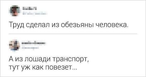 ььт Труд сделал из обезьяны человека _ А из лошади транспорт тут уж как повезет