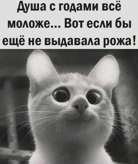 душа с годами всё модоже Вот если бы ещё не вьпдаваАа рожа