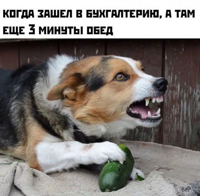 кпгдд зашел в ннхгяптвпиш я тим ЕЩЕ 3 миннты пнд