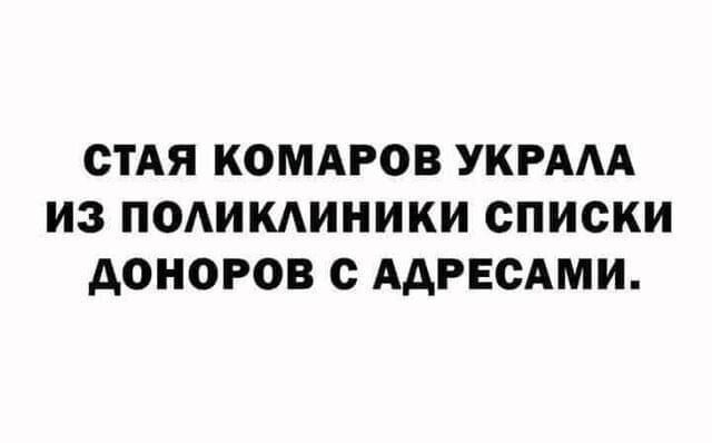 СТАЯ КОМАРОВ УКРААА ИЗ ПОАИКАИНИКИ СПИСКИ А0Н0РОВ ААРЕСАМИ