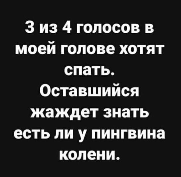 3 из 4 голосов в моей голове хотят спать Оставшийся жаждет знать есть ли у пингвина колени