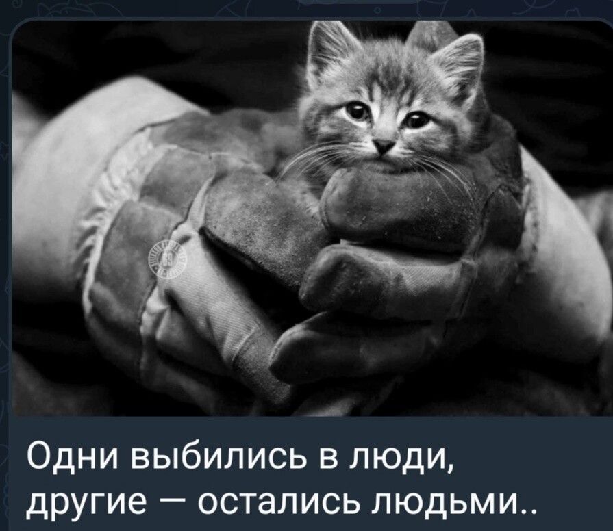 Одни выбились в люди другие остались людьми