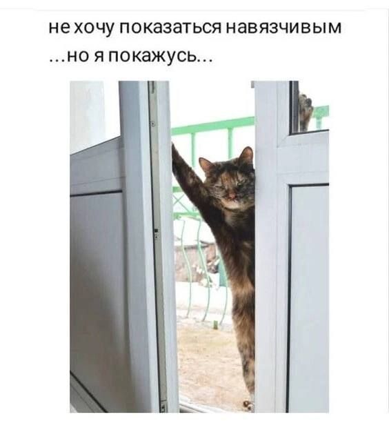 не ХОЧУ ПОКЗЗЗТЬСЯ НЗВЯЗЧИВЫМ НО Я ПОКЗЖУСЬ Г Г Ь