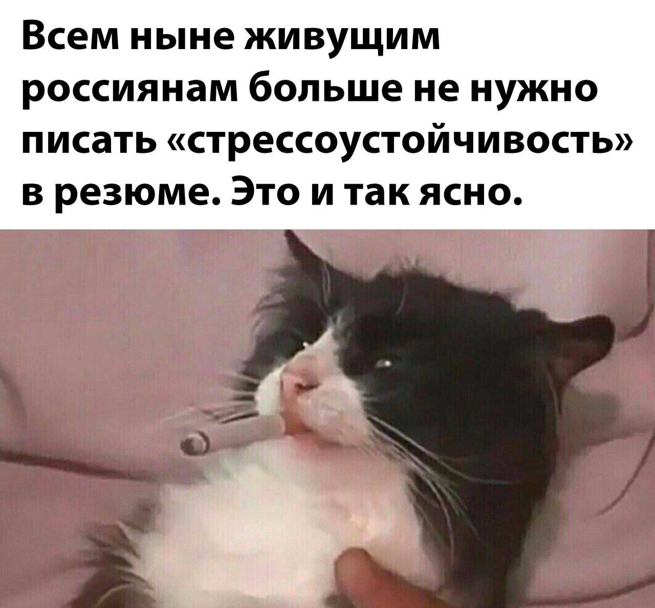 Всем ныне ЖИВУЩИМ РОССИЯНЭМ больше не НЮКНО ПИСВТЬ СТРеССОУСТОЙЧИВОСТЬ В резюме ЭТО И так ЯСНО