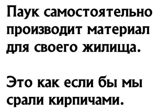 Паук самостоятельно производит материал для своего жилища Это как если бы мы срапи кирпичами