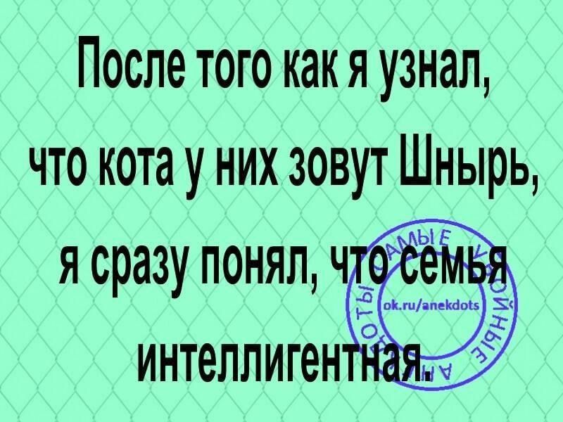 После того какя узнал что кота у них зовут Шнырь