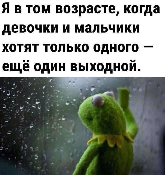 Я в том возрасте когда девочки и мальчики хотят только одного ещё один выходной