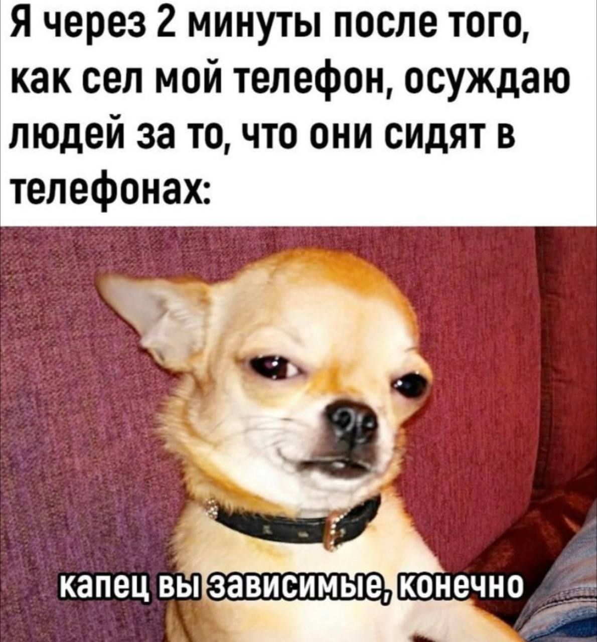 Я через 2 минуты после того как сел мой телефон осуждаю людей за то что они  сидят в телефонах капец ВЫ ЗЗВИСИМЫВ КОНЕЧНО - выпуск №2066346