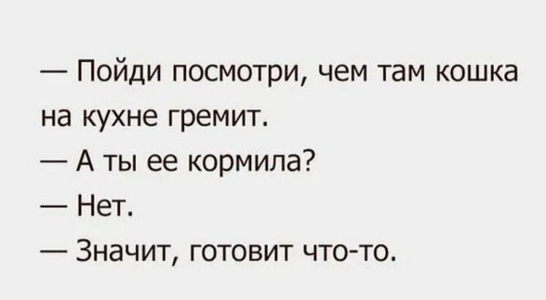 Пойди посмотри чем там кошка на кухне гремит А ты ее кормила Нет Значит готовит что то