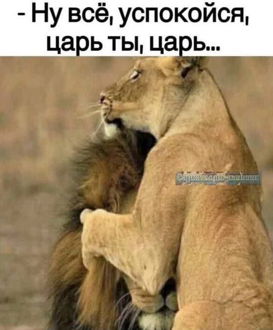 Ну всё успокойся