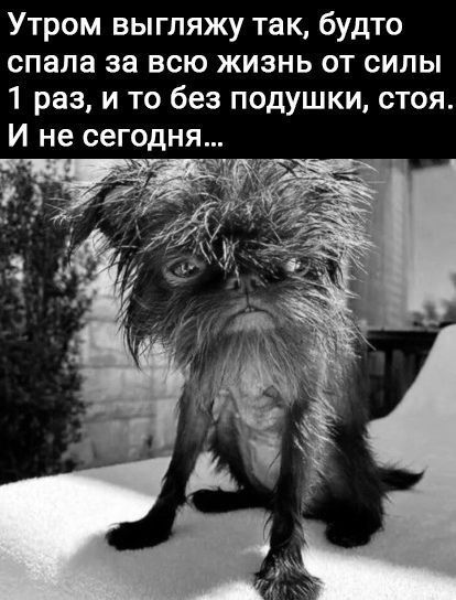 Утром выгляжу так будто спала за всю жизнь от силы 1 раз и то без подушки стоя И не сегодня