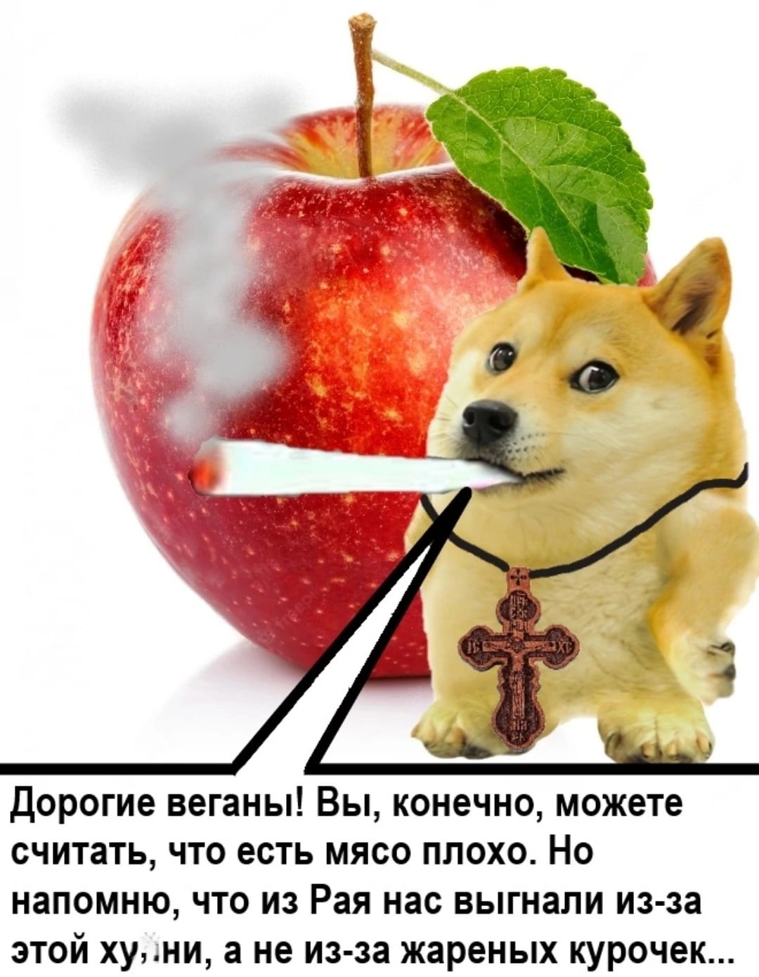 Дорогие веганы Вы конечно можете считать что есть мясо плохо Но напомню что из Рая нас выгнали из за этой хуни а не из за жареных курочек