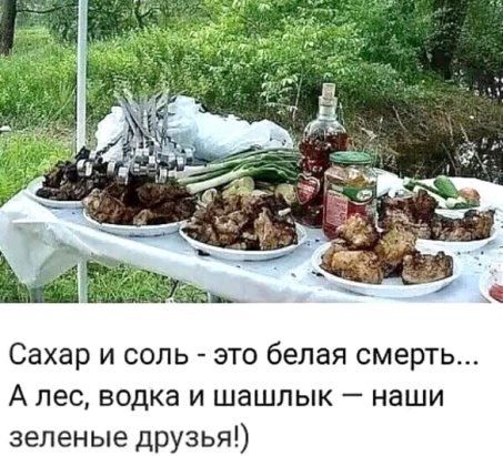 Сахар и соль это белая смерть А лес водка и шашлык наши зеленые друзья