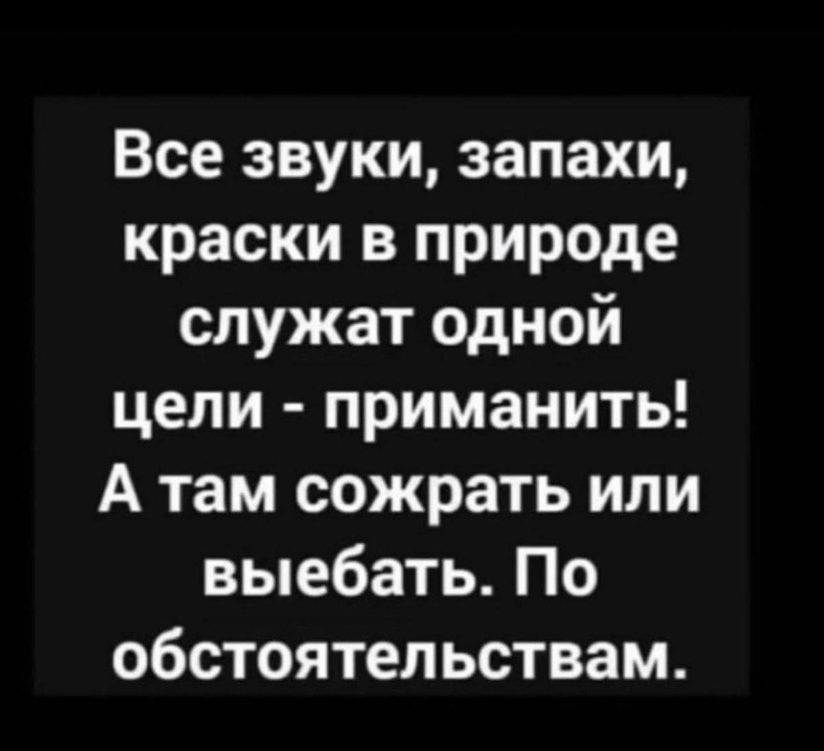 Все звуки запахи краски в природе служат одной цели приманить А там сожрать или выебать По обстоятельствам