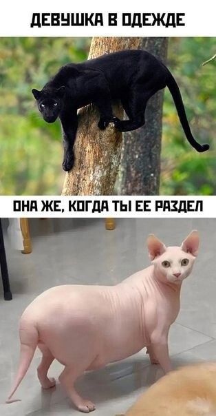 а г _ ПНП ЖЕ КОГДА ТЫ ЕЕ РАЗДЕЛ