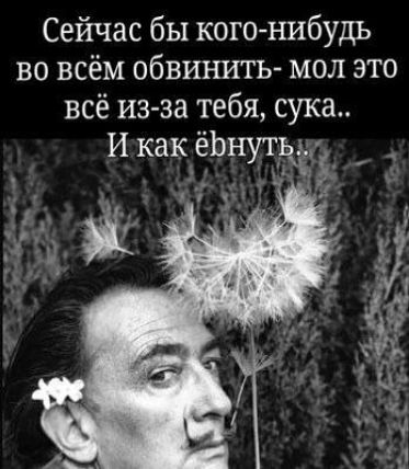 Сейчас бы кого нибудь во всём обвинить мол это всё из за тебя сука И как еЬнутьдд