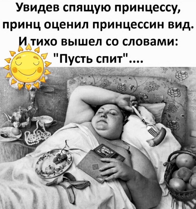 Увидев спящую принцессу принц оценил принцессин вид И тихо вышел со словами Пусть спит