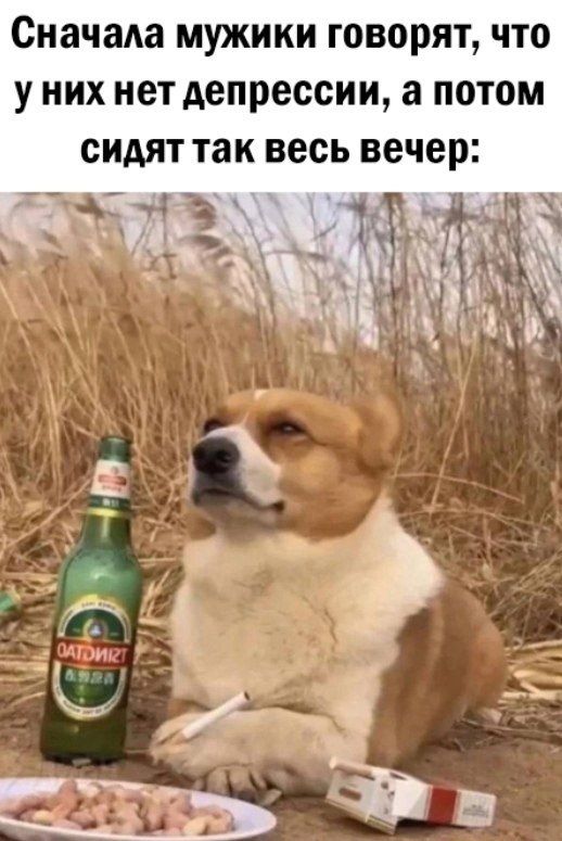 Сначала МУЖИКИ говорят ЧТО У НИХ нет депрессии а ПОТОМ СИАЯТ так весь вечер