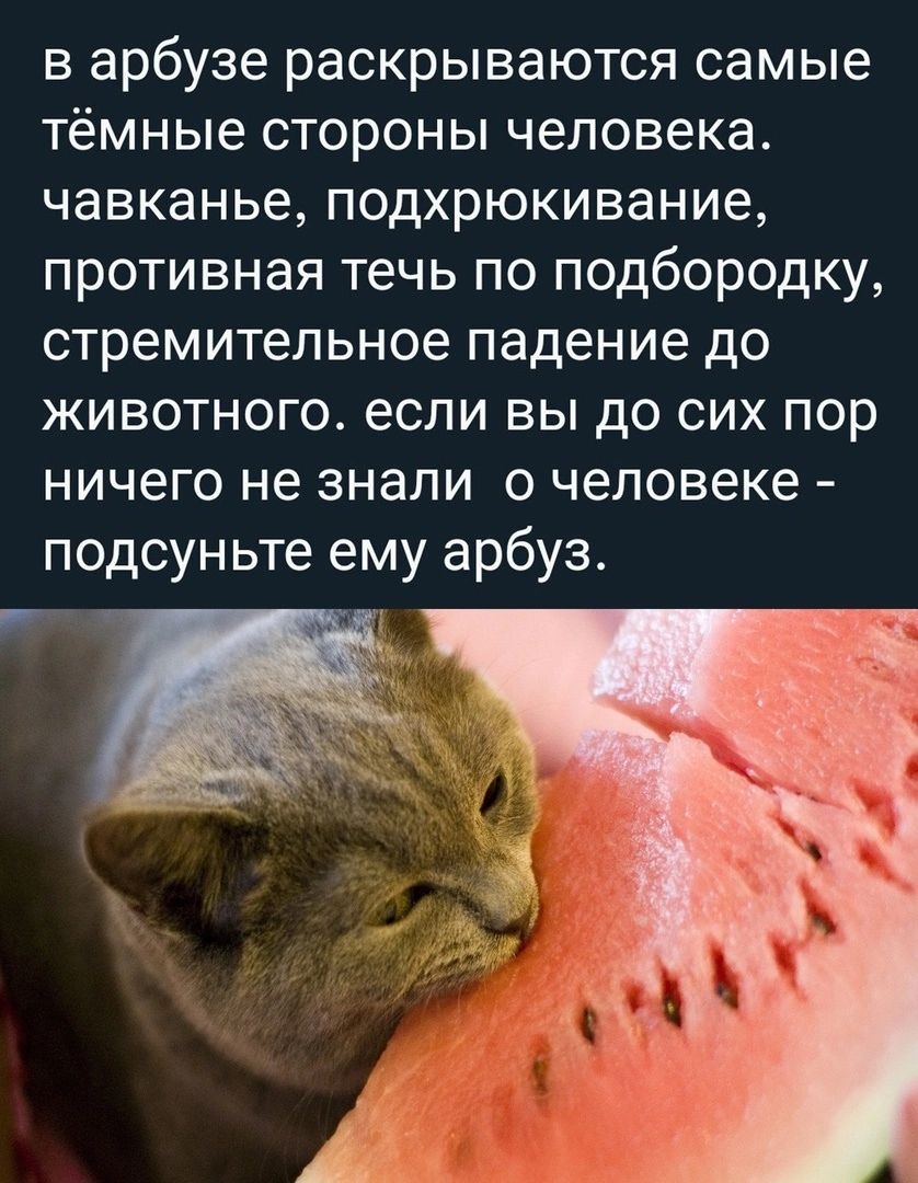в арбузе раскрываются самые тёмные стороны человека чавканье подхрюкивание противная течь по подбородку стремительное падение до животного если вы до сих пор ничего не знали о человеке подсуньте ему арбуз