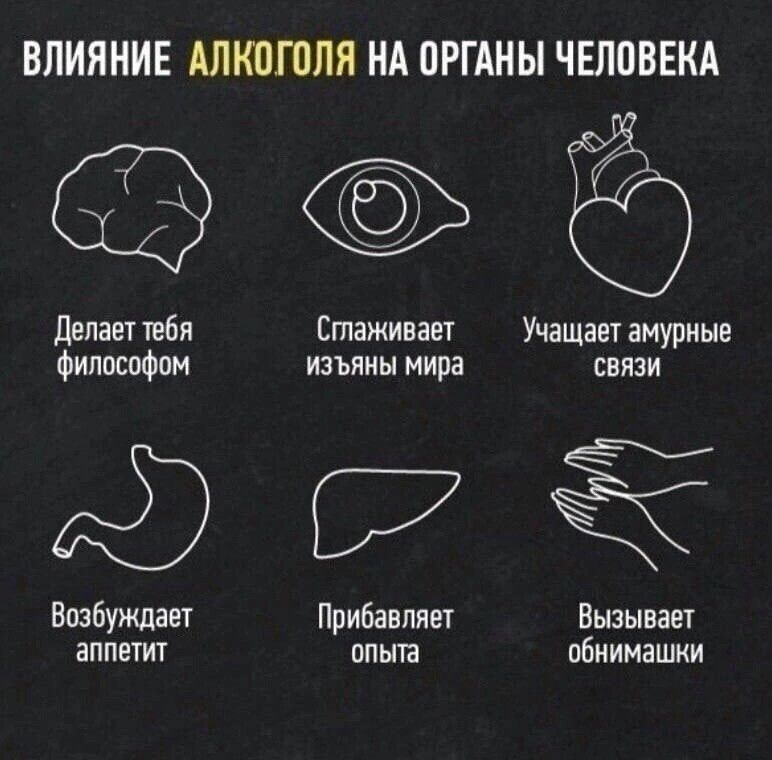 ВЛИЯНИЕ АЛКППШЯ НА ПРГАНЫ ЧЕЛПВЕКА 630 делает тебя Стаживает Учащает амурные Философии изъяны мира связи Возбуждавт Прибавпиет Вызывает аппетит ппьпа пбмимашии